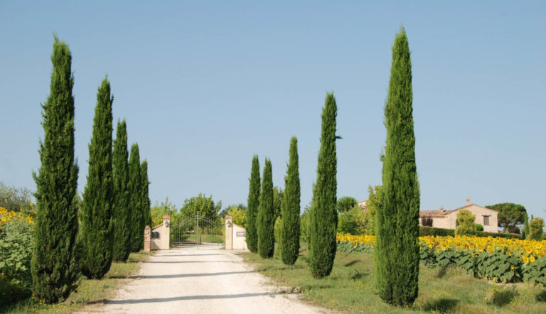 ????????????????????????????????????